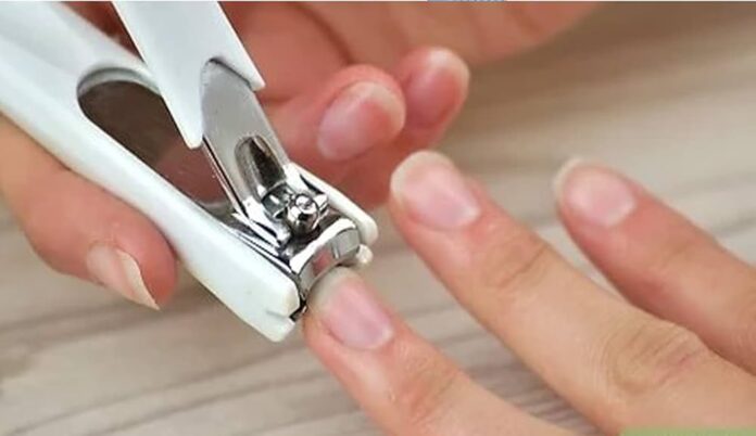 51Ib-HojnYL._AC_UF1000,1000_QL80_